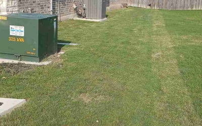 Photo of Jennifer P.'s yard after getting landscaping in Seguin, TX
