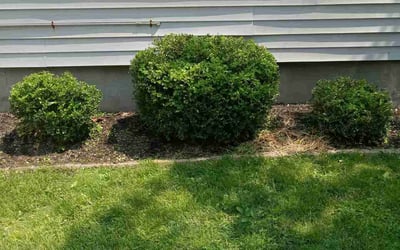 Photo of Jonathan L.'s yard after getting landscaping in Lagrange, OH