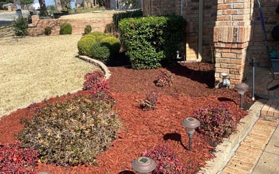 Photo of Rosalyn W.'s yard after getting landscaping in Tolar, TX