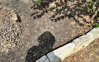 Photo of Karen L.'s yard after getting landscaping in San Antonio, TX