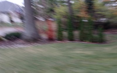 Photo of David S.'s yard after getting landscaping in Bellevue, KY
