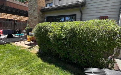Photo of Chris R.'s yard after getting landscaping in Bailey, CO