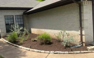 Photo of Mary J.'s yard after getting landscaping in Sugar Land, TX