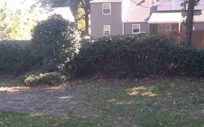 Photo of Nellie M. M.'s yard after getting landscaping in Garden City, MO