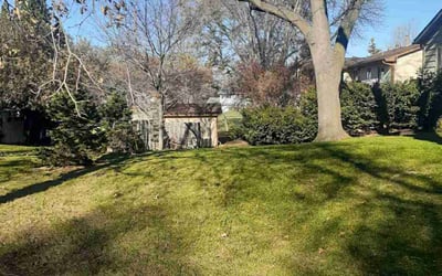 Photo of Suzanne W.'s yard after getting landscaping in New Prague, MN