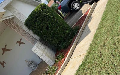 Photo of Marie C.'s yard after getting landscaping in Ozona, FL