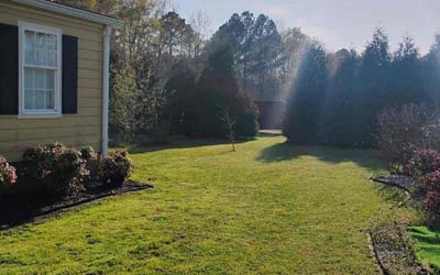 Photo of Terry W.'s yard after getting landscaping in Buckhead, GA