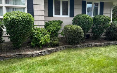 Photo of Linda L.'s yard after getting landscaping in Waterbury, CT
