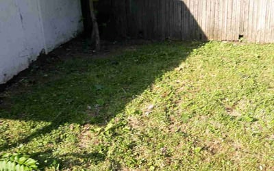 Photo of Jason J.'s yard after getting landscaping in Williamsburg, OH
