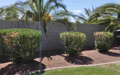 Photo of Bill D.'s yard after getting landscaping in Cave Creek, AZ