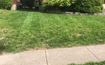 Photo of Mark D.'s yard after getting landscaping in West Chester, OH