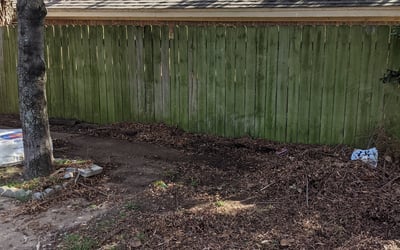 Photo of Jennifer B.'s yard after getting landscaping in Whitt, TX