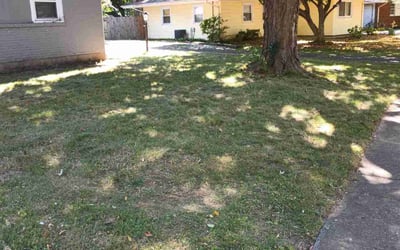Photo of Diana D.'s yard after getting landscaping in Charlestown, IN