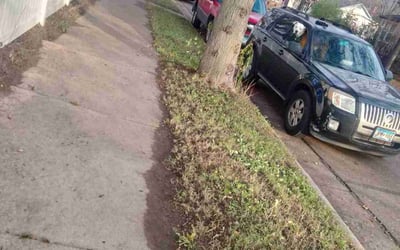 Photo of Jack B.'s yard after getting landscaping in Hastings, MN
