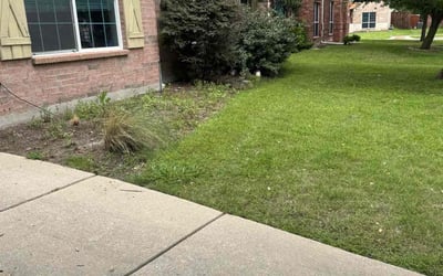 Photo of Timothy D.'s yard after getting landscaping in Frisco, TX
