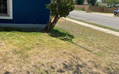 Photo of John D.'s yard after getting landscaping in Schwertner, TX