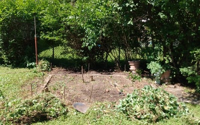Photo of Matt S.'s yard after getting landscaping in Slinger, WI