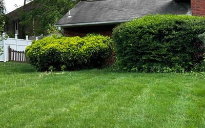 Photo of Christopher W.'s yard after getting landscaping in Occoquan, VA