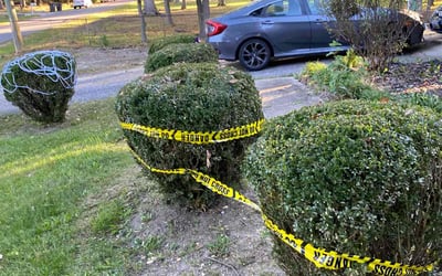 Photo of kathleen d.'s yard after getting landscaping in Spotsylvania, VA