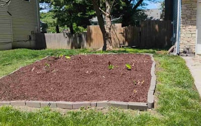 Photo of Mark S.'s yard after getting landscaping in Lenexa, KS