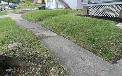 Photo of Chris M.'s yard after getting landscaping in Owensville, OH
