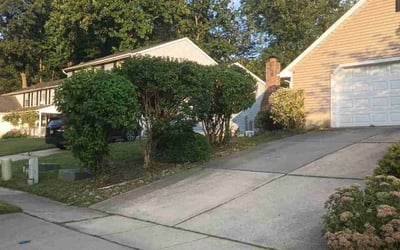 Photo of Mark S.'s yard after getting landscaping in Sewell, NJ