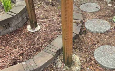 Photo of Fred B.'s yard after getting landscaping in Kent, WA