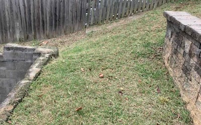 Photo of Mike R.'s yard after getting landscaping in Mc Kenney, VA