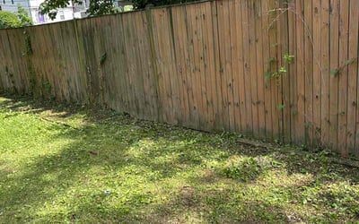 Photo of Jennifer C.'s yard after getting landscaping in Washington, DC