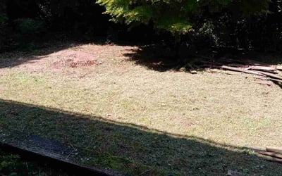 Photo of Mike S.'s yard after getting landscaping in Warrior, AL
