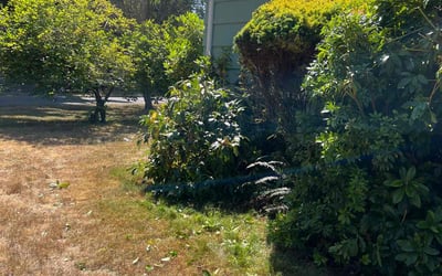 Photo of Rich M.'s yard after getting landscaping in Duvall, WA