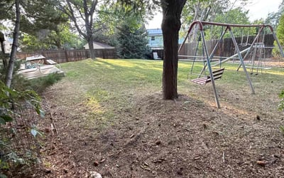Photo of Teresa H.'s yard after getting tree care in Aurora, CO