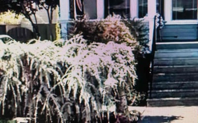 Photo of Lauren C.'s yard after getting landscaping in Canby, OR