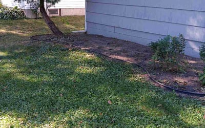 Photo of Patrick M.'s yard after getting landscaping in Rogers, MN