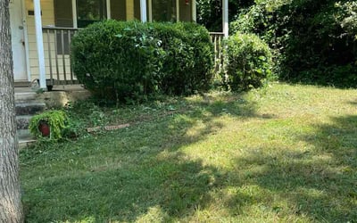 Photo of Demetris B.'s yard after getting tree care in Senoia, GA