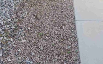 Photo of Heath H.'s yard after getting landscaping in Oracle, AZ