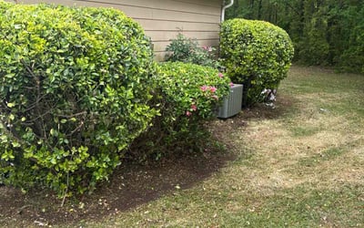Photo of Demetris B.'s yard after getting landscaping in Austell, GA