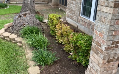 Photo of Paige W.'s yard after getting landscaping in Staples, TX