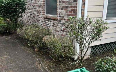 Photo of Steve k.'s yard after getting landscaping in Covington, LA