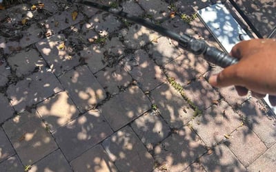 Photo of Ryan F.'s yard after getting tree care in Seffner, FL