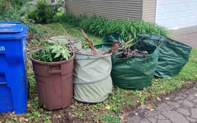 Photo of David T.'s yard after getting landscaping in Bayport, MN