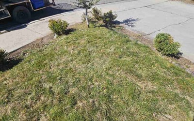 Photo of Bryan P.'s yard after getting landscaping in Kuna, ID