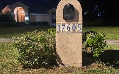 Photo of Pete M.'s yard after getting landscaping in Odessa, FL