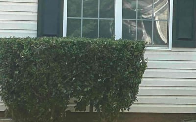 Photo of Gary B.'s yard after getting landscaping in Crouse, NC