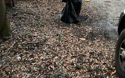 Photo of Ashley R.'s yard after getting landscaping in Fernandina Beach, FL