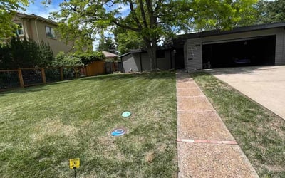 Photo of Chelsea K.'s yard after getting landscaping in Elizabeth, CO