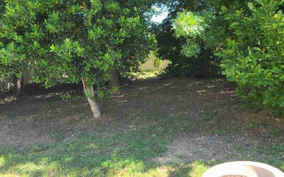 Photo of Edwin M.'s yard after getting landscaping in Flint Hill, VA