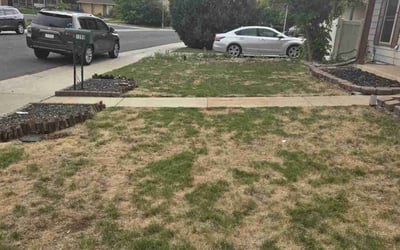 Photo of Catherine L.'s yard after getting landscaping in Aurora, CO