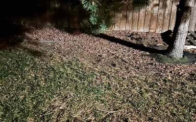 Photo of Andre J.'s yard after getting landscaping in Cascade, CO