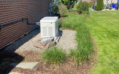 Photo of Nina A.'s yard after getting landscaping in Detroit, MI